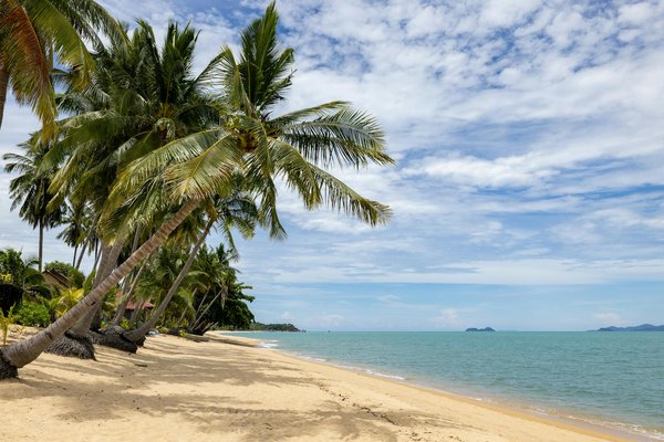 What are the best UK rentals for a tech-savvy traveler?