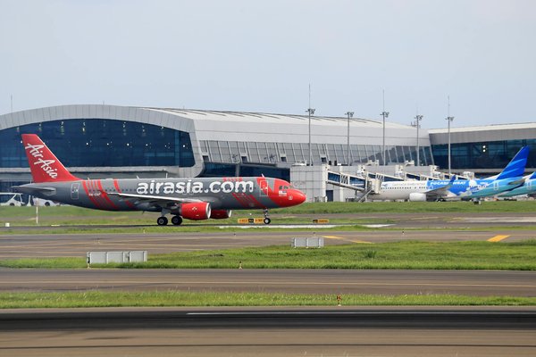 How can you enjoy the UK's diverse wildlife in its natural habitat?