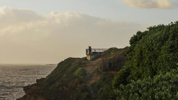 Discover hasselt's top taxi services for your next trip