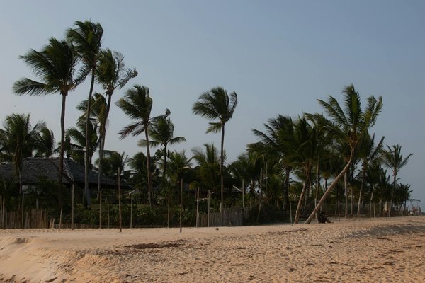 How Can UK Tourism Innovate to Overcome Current Challenges?