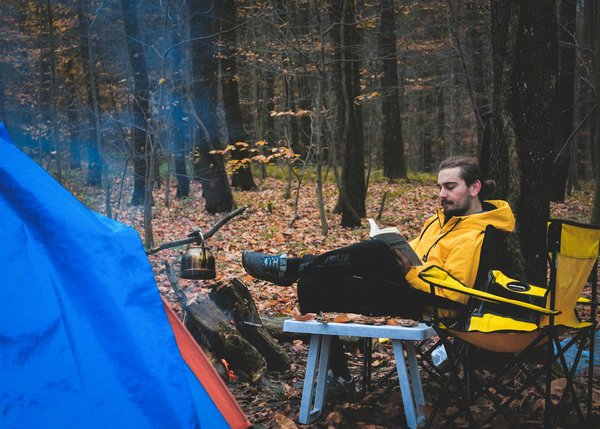 How can you enjoy the UK's diverse wildlife on vacation?